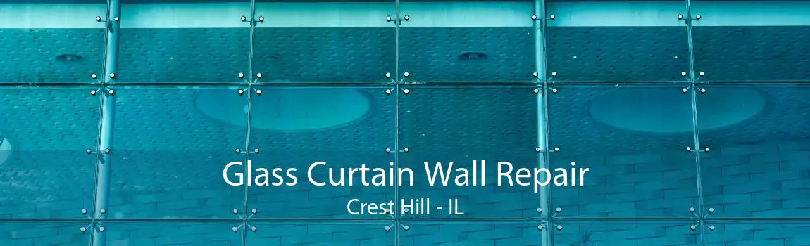 Glass Curtain Wall Repair Crest Hill - IL