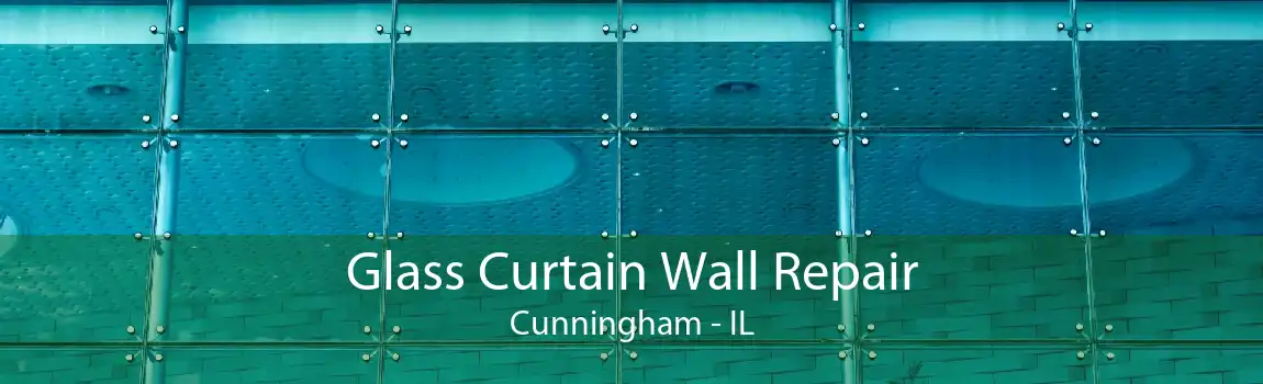 Glass Curtain Wall Repair Cunningham - IL