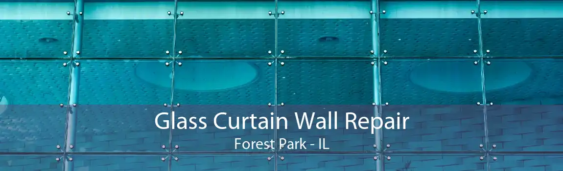 Glass Curtain Wall Repair Forest Park - IL