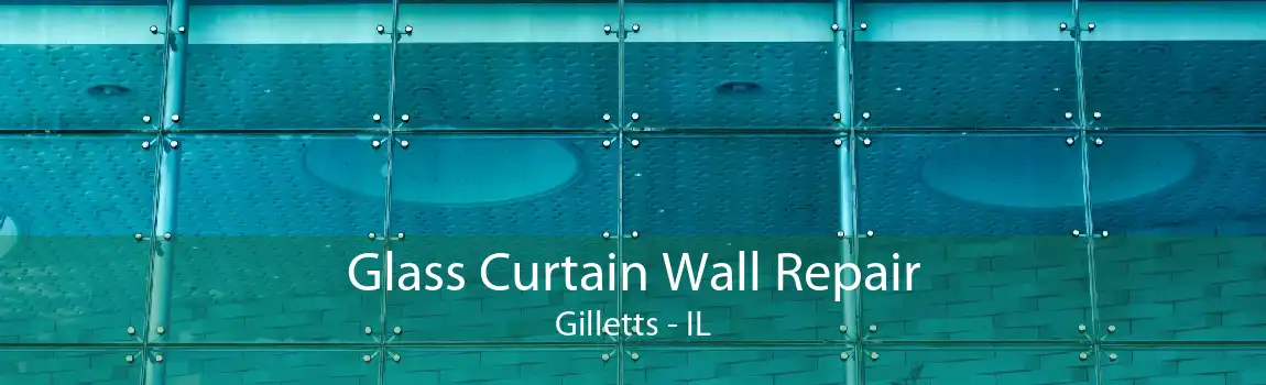 Glass Curtain Wall Repair Gilletts - IL