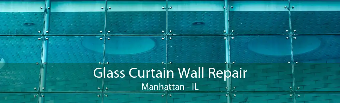 Glass Curtain Wall Repair Manhattan - IL