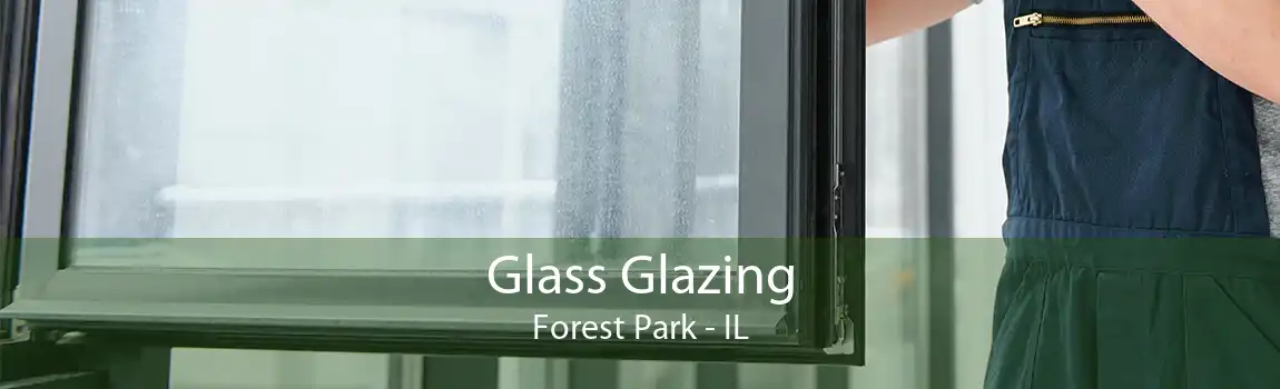 Glass Glazing Forest Park - IL