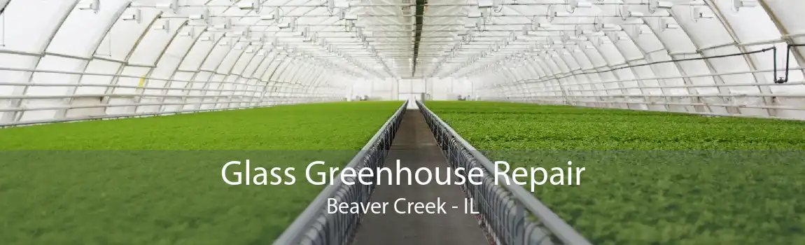 Glass Greenhouse Repair Beaver Creek - IL