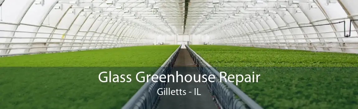 Glass Greenhouse Repair Gilletts - IL