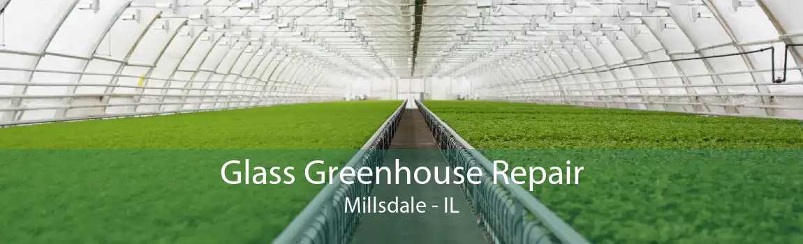 Glass Greenhouse Repair Millsdale - IL