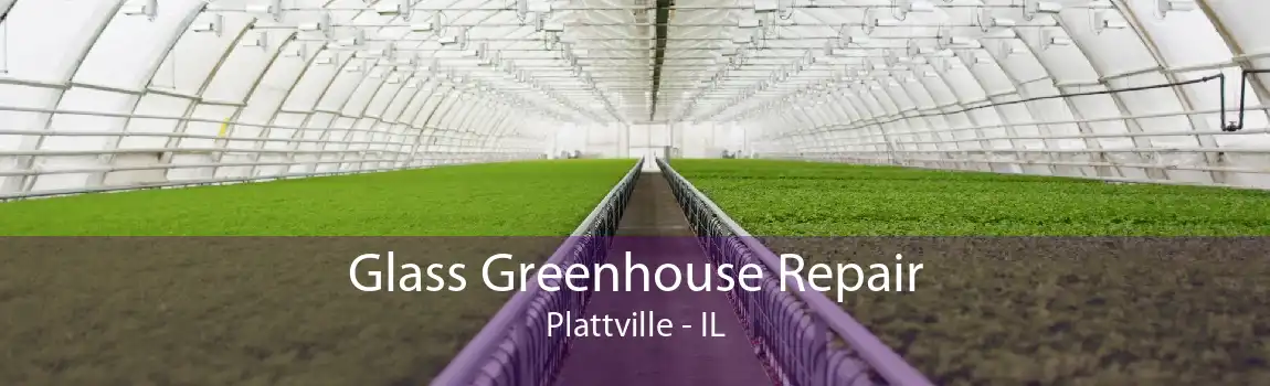 Glass Greenhouse Repair Plattville - IL