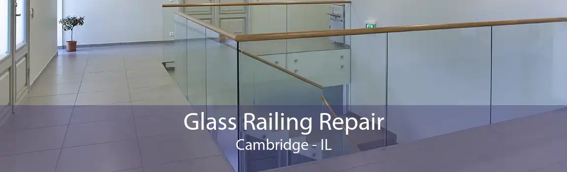 Glass Railing Repair Cambridge - IL