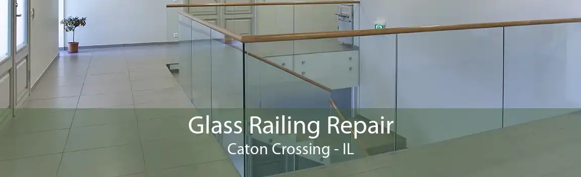 Glass Railing Repair Caton Crossing - IL