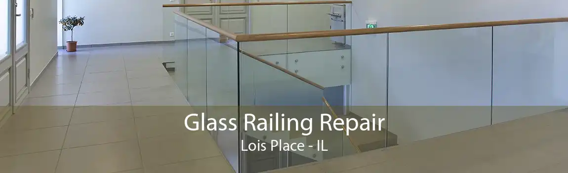 Glass Railing Repair Lois Place - IL