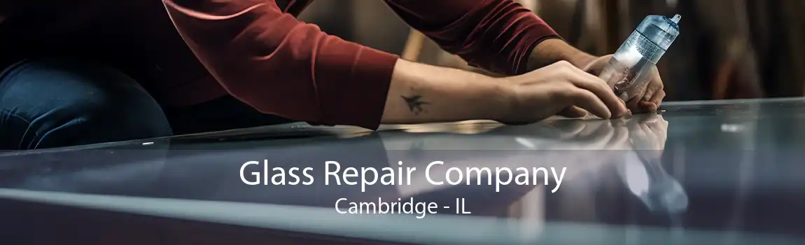 Glass Repair Company Cambridge - IL