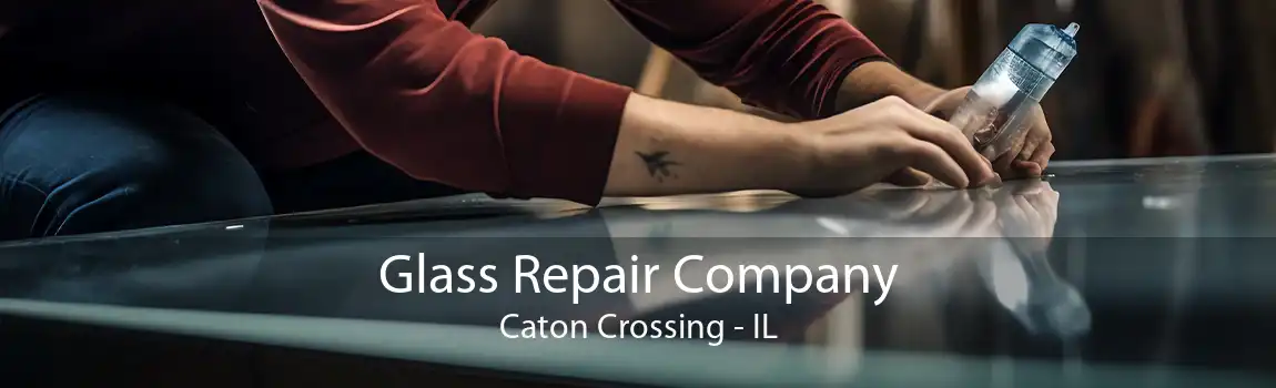 Glass Repair Company Caton Crossing - IL