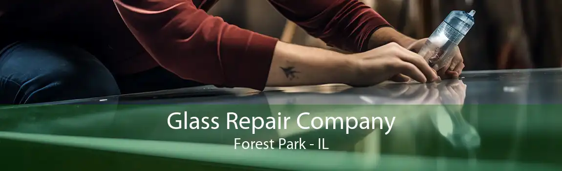 Glass Repair Company Forest Park - IL