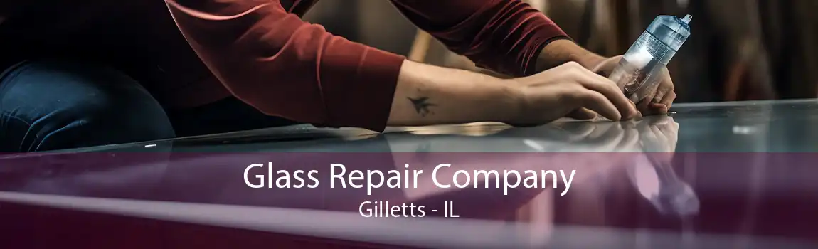 Glass Repair Company Gilletts - IL