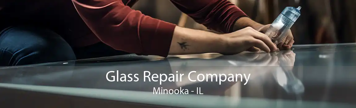 Glass Repair Company Minooka - IL