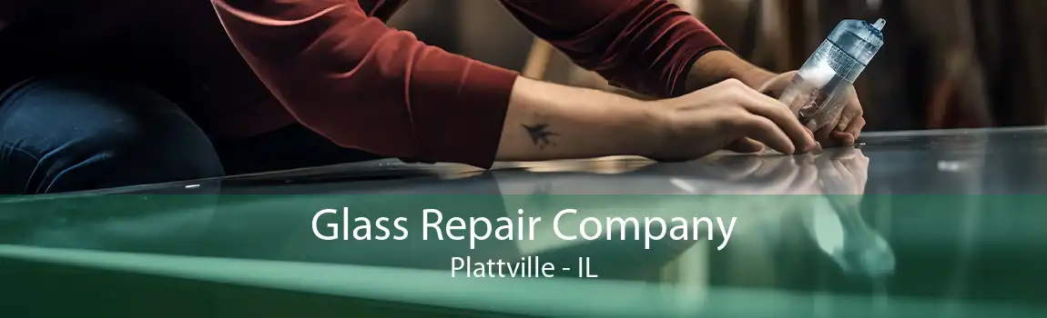 Glass Repair Company Plattville - IL