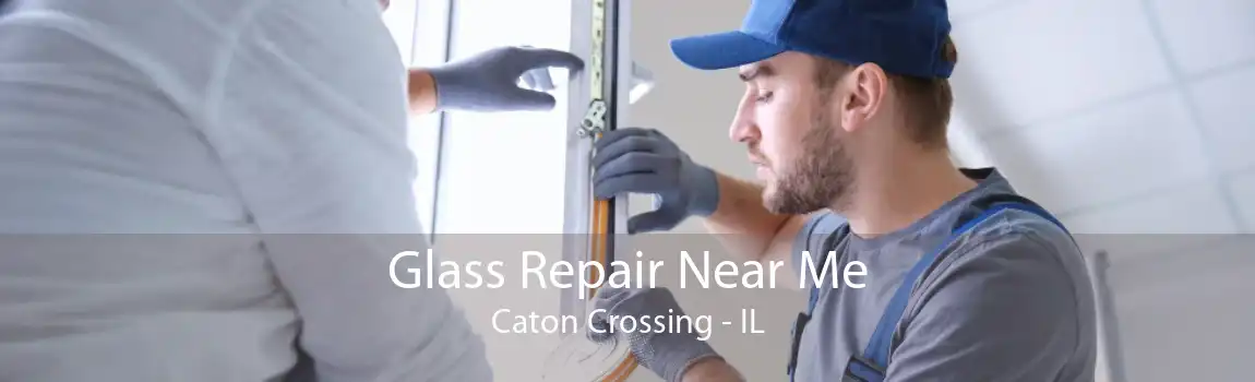 Glass Repair Near Me Caton Crossing - IL