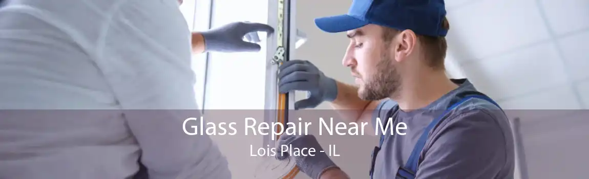 Glass Repair Near Me Lois Place - IL