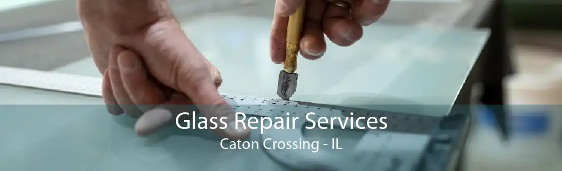 Glass Repair Services Caton Crossing - IL