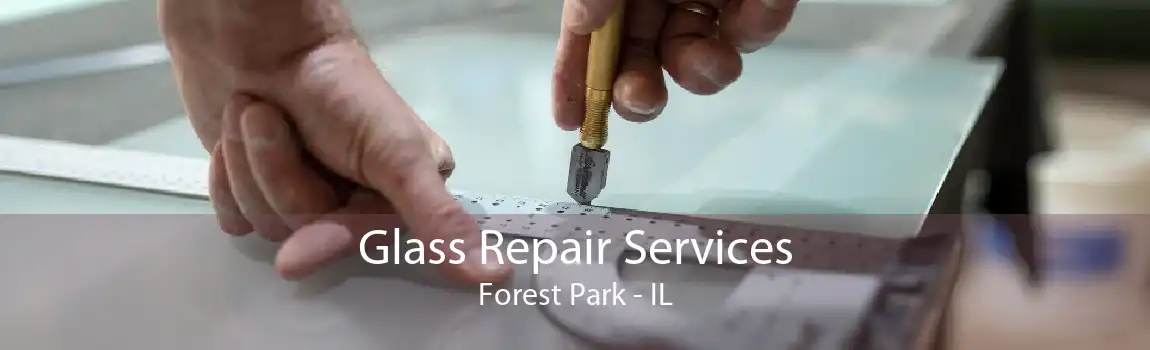 Glass Repair Services Forest Park - IL