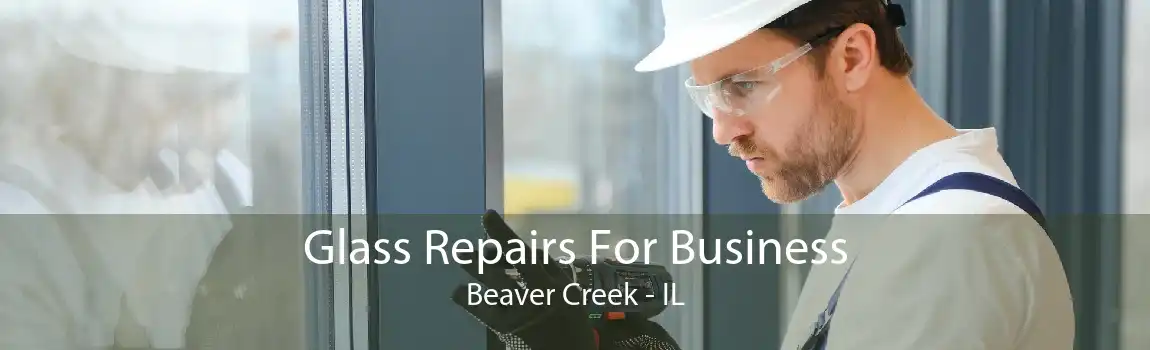 Glass Repairs For Business Beaver Creek - IL