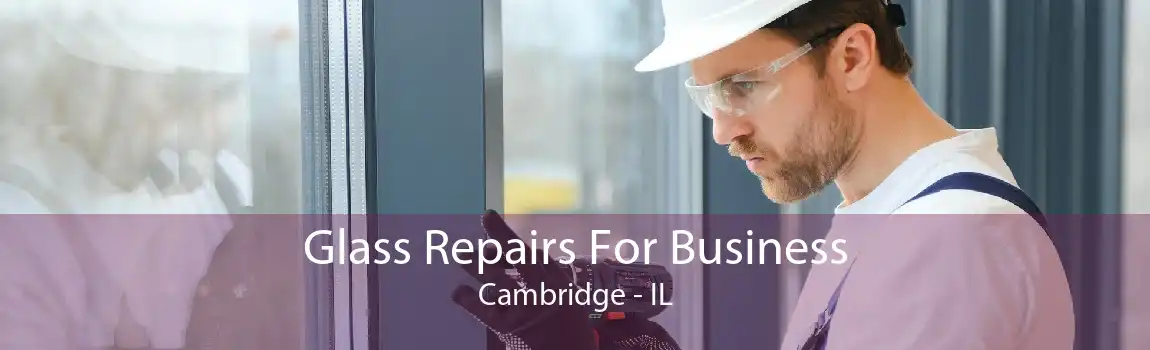 Glass Repairs For Business Cambridge - IL