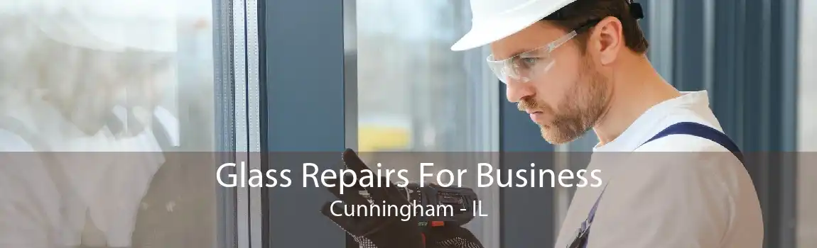 Glass Repairs For Business Cunningham - IL