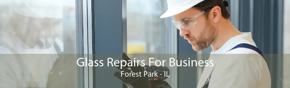 Glass Repairs For Business Forest Park - IL