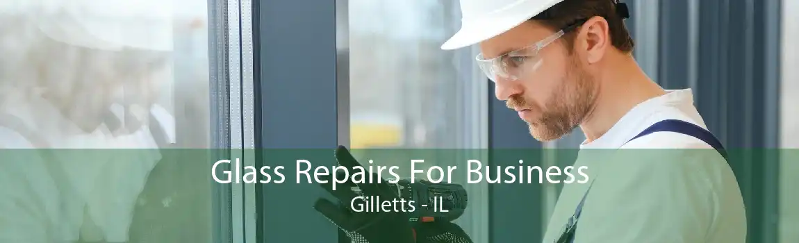 Glass Repairs For Business Gilletts - IL