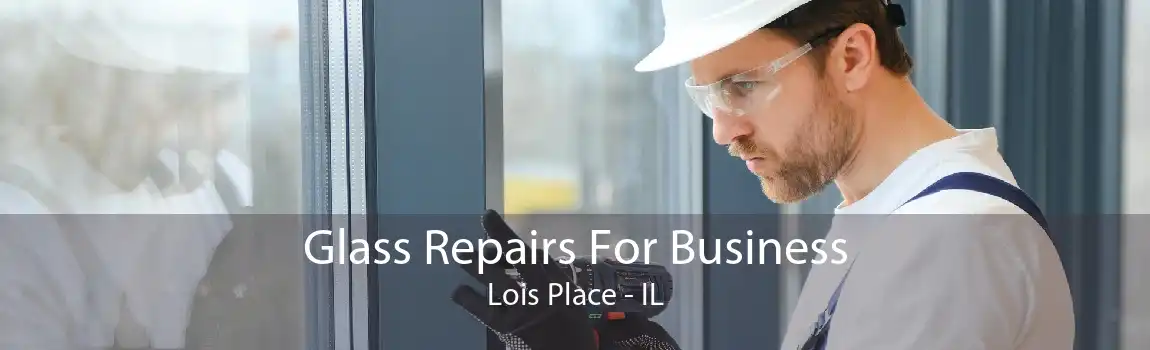 Glass Repairs For Business Lois Place - IL