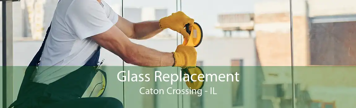 Glass Replacement Caton Crossing - IL