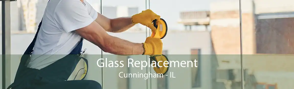 Glass Replacement Cunningham - IL