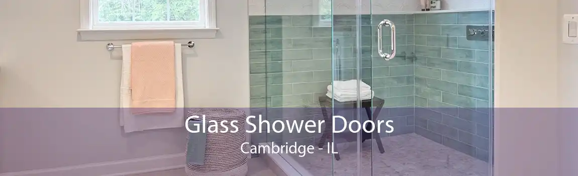 Glass Shower Doors Cambridge - IL