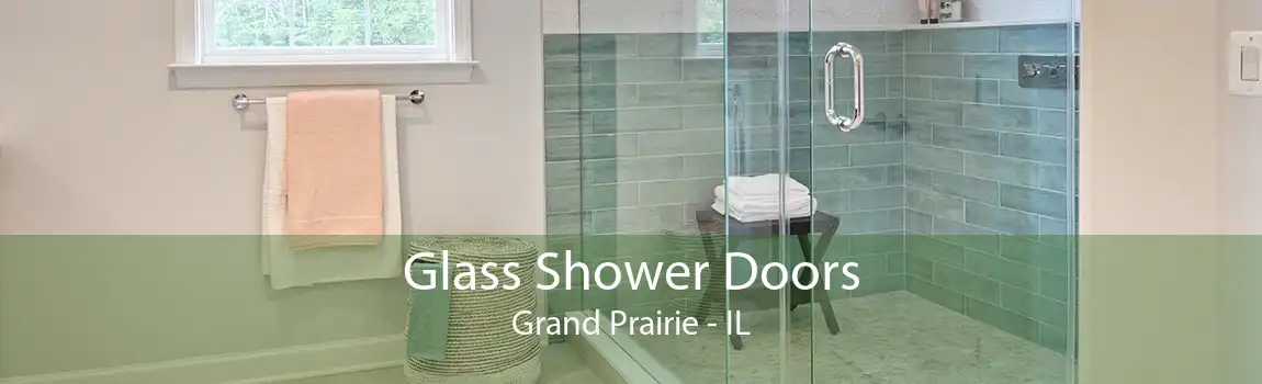 Glass Shower Doors Grand Prairie - IL