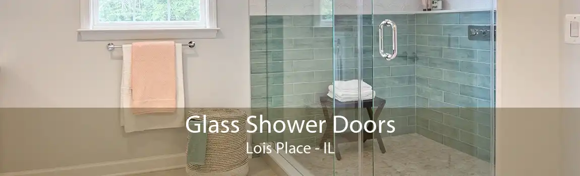 Glass Shower Doors Lois Place - IL