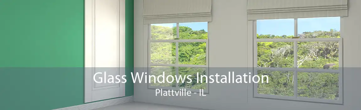 Glass Windows Installation Plattville - IL