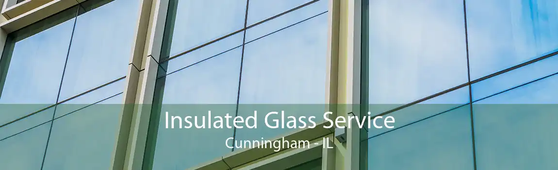 Insulated Glass Service Cunningham - IL