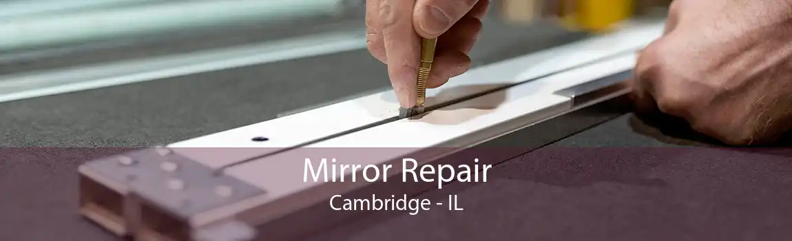 Mirror Repair Cambridge - IL