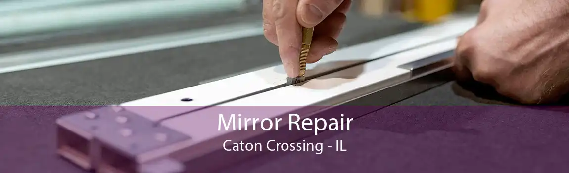 Mirror Repair Caton Crossing - IL