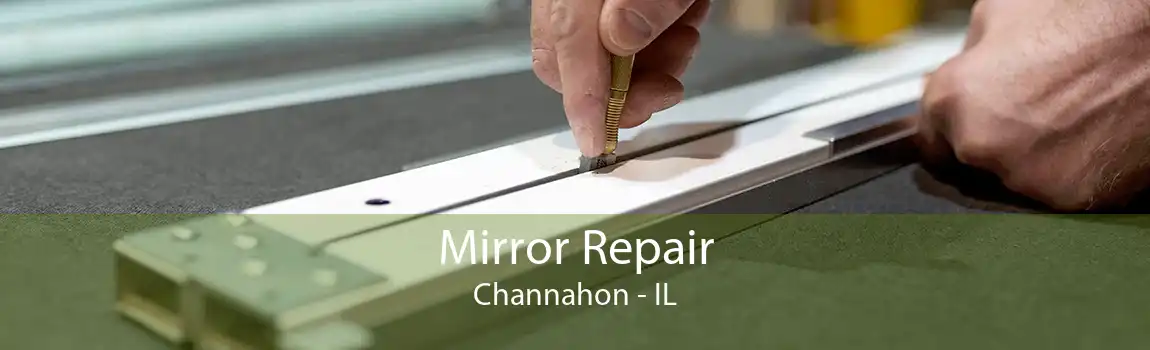 Mirror Repair Channahon - IL