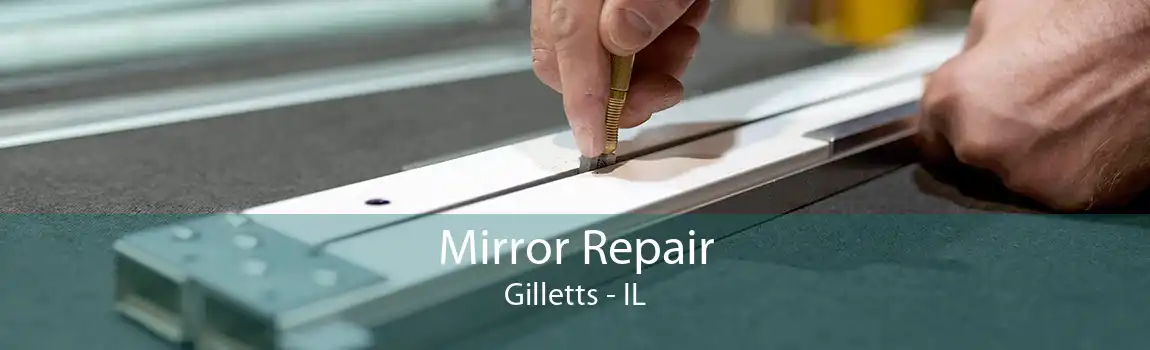 Mirror Repair Gilletts - IL