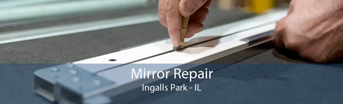 Mirror Repair Ingalls Park - IL