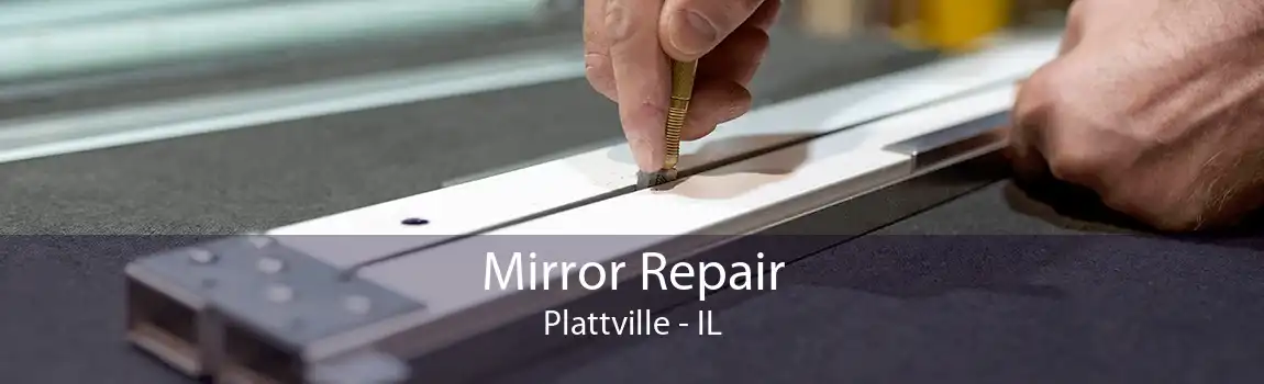 Mirror Repair Plattville - IL