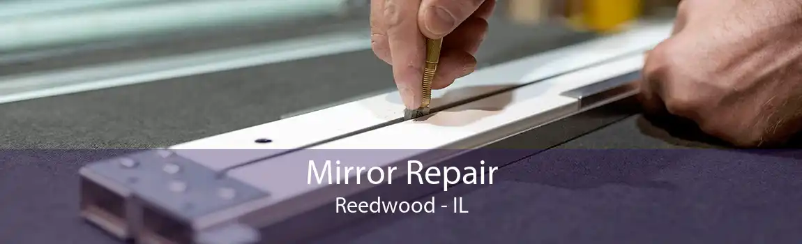 Mirror Repair Reedwood - IL