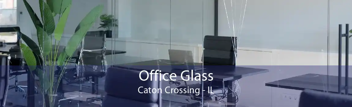 Office Glass Caton Crossing - IL