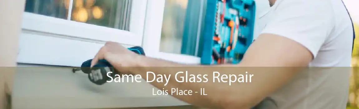 Same Day Glass Repair Lois Place - IL