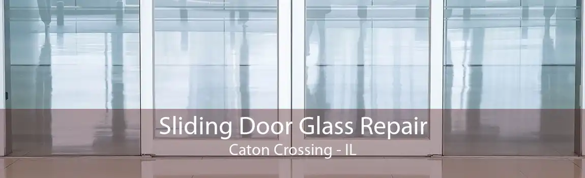 Sliding Door Glass Repair Caton Crossing - IL