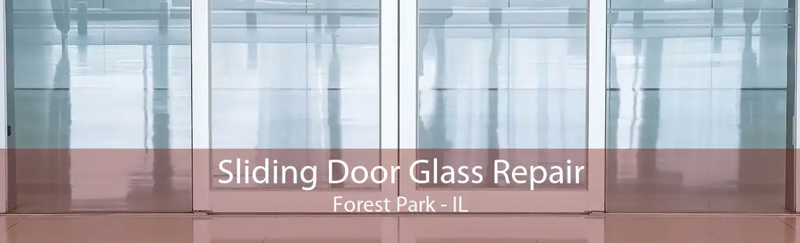 Sliding Door Glass Repair Forest Park - IL