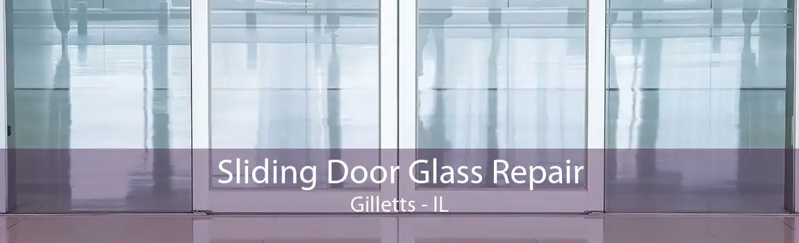 Sliding Door Glass Repair Gilletts - IL