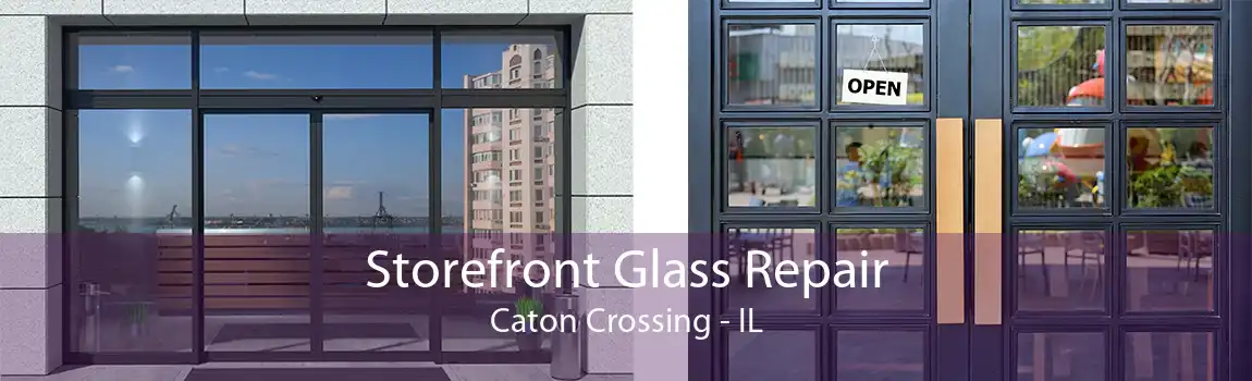 Storefront Glass Repair Caton Crossing - IL