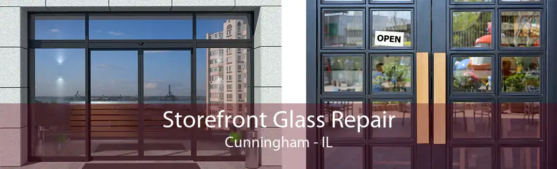 Storefront Glass Repair Cunningham - IL